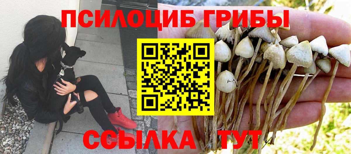 Псилоцибиновые грибы мухоморы Клинцы