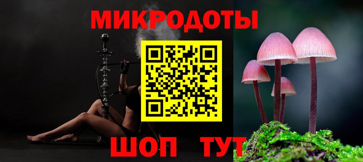 Клинцы  Галлюциногенные грибы Cubensis  Вход с VPN  Галлюциногенные грибы Cubensis 